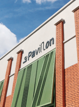 Priscillia Julien  •  design graphique