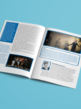 Priscillia Julien  •  design graphique