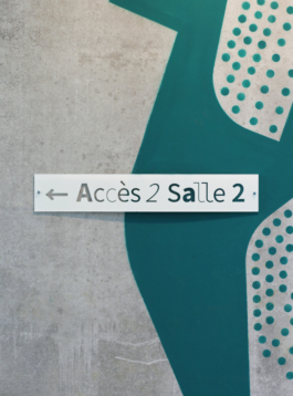 Priscillia Julien  •  design graphique