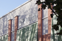 Priscillia Julien  •  design graphique