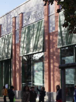 Priscillia Julien  •  design graphique