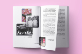 Priscillia Julien  •  design graphique