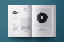 Priscillia Julien • design graphique