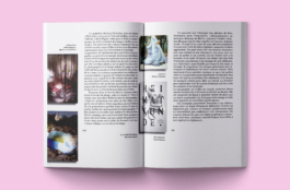 Priscillia Julien  •  design graphique