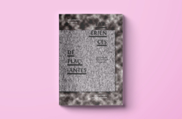 Priscillia Julien  •  design graphique