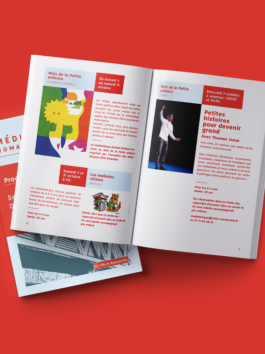 Priscillia Julien  •  design graphique