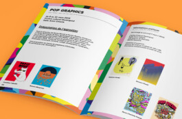 Priscillia Julien  •  design graphique