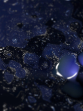 Priscillia Julien  •  design graphique