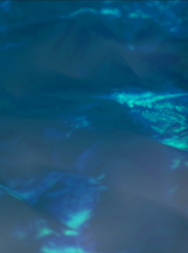 Priscillia Julien  •  design graphique