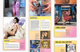 Priscillia Julien  •  design graphique