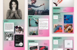 Priscillia Julien  •  design graphique