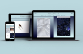 Priscillia Julien  •  design graphique