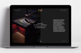 Priscillia Julien  •  design graphique