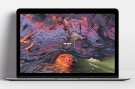 Priscillia Julien  •  design graphique