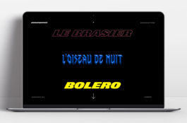 Priscillia Julien  •  design graphique