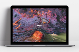 Priscillia Julien  •  design graphique