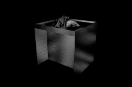 Priscillia Julien  •  design graphique