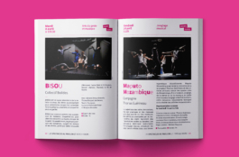 Priscillia Julien  •  design graphique