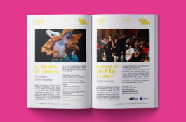 Priscillia Julien  •  design graphique