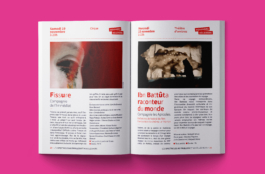 Priscillia Julien  •  design graphique