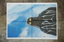 Priscillia Julien • design graphique