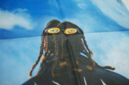 Priscillia Julien • design graphique