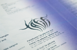 Priscillia Julien • design graphique