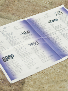 Priscillia Julien • design graphique