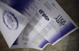 Priscillia Julien • design graphique