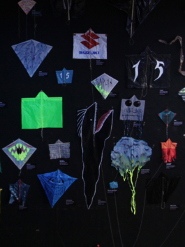 Priscillia Julien • design graphique