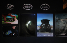 Priscillia Julien • design graphique